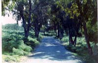 Cyprus-221_edited